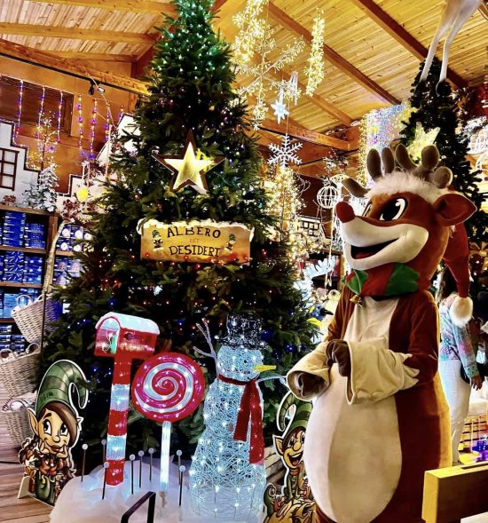 Il Regno di Babbo Natale