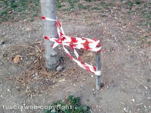 Viterbo - Condizioni Parco della Verità 
