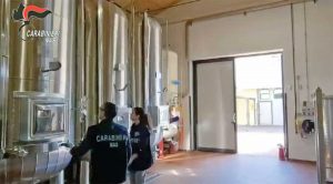 Viterbo - Controlli dei Nas durante la campagna vinicola 2023