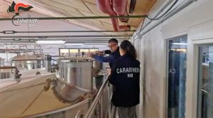 Viterbo - Controlli dei Nas durante la campagna vinicola 2023