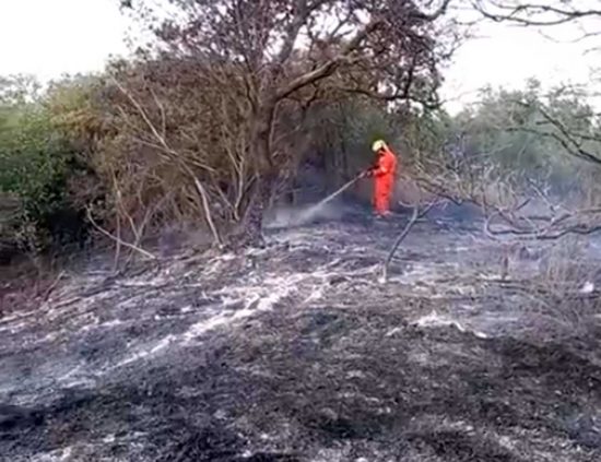 Incendio a Tarquinia