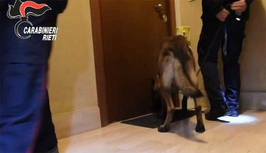 Rieti - Carabinieri, 13 arresti e 40 denunce per spaccio