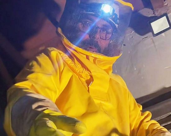 Nepi - Alveare con oltre 100 mila api nell'intercapedine di una casa - L'intervento dell'etologo Andrea Lunerti