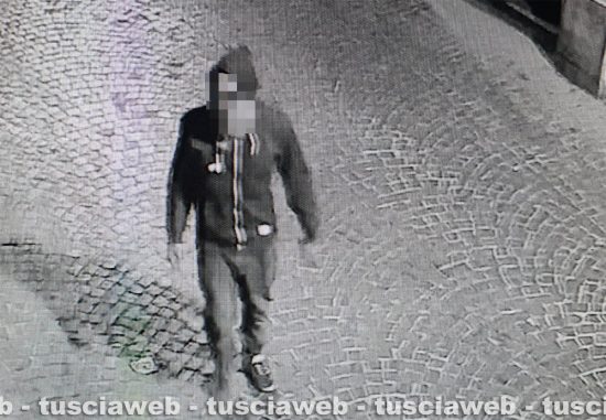 Viterbo - Furto con scasso in gioielleria - La foto del presunto ladro 