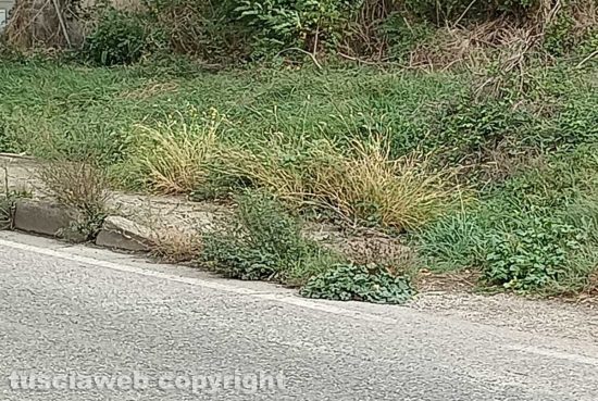 Viterbo - Marciapiede impraticabile sulla Teverina