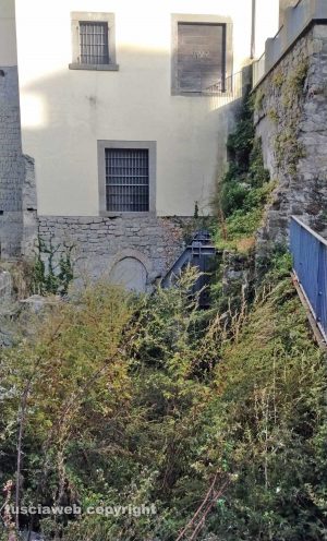Viterbo - Erbacce nel centro storico