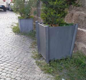 Viterbo - Erbacce nel centro storico