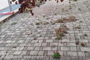 Viterbo - Santa Barbara - Degrado al Parco della Solidarietà
