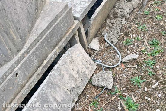 Viterbo - Incuria al cimitero