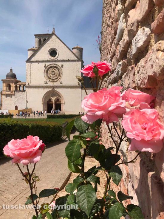 Assisi