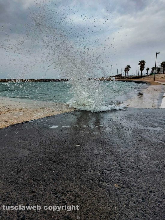 La marina di Civitavecchia