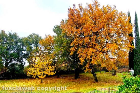 Foliage a Soriano nel Cimino