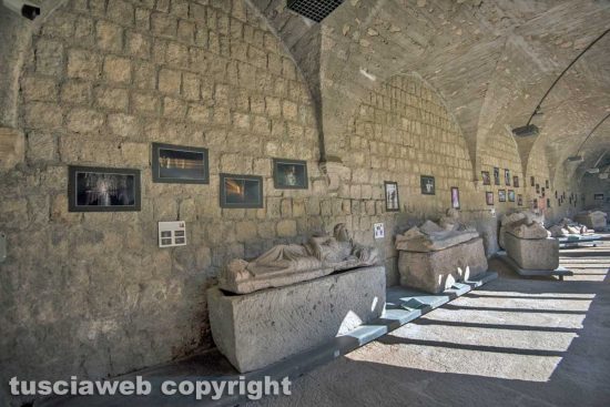 Viterbo Immagine - Le mostre fotografiche