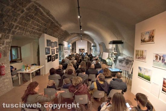 Viterbo Immagine - Vernissage finale festival