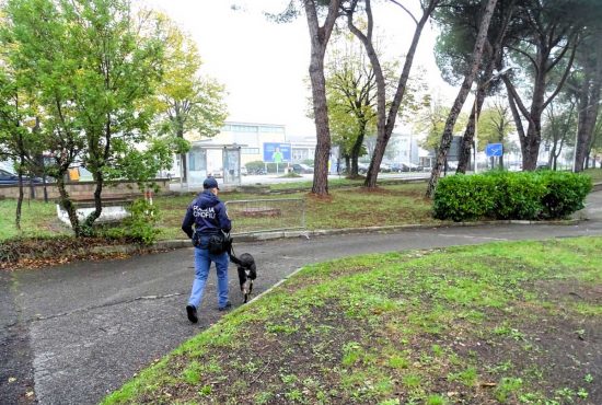 Orvieto - Polizia - Controlli antidroga