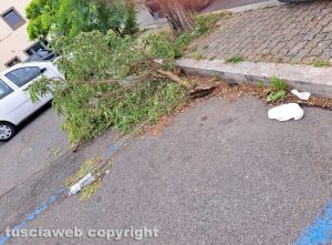 Viterbo - Rami e immondizia al parcheggio del Sacrario