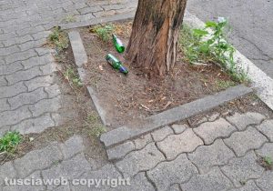 Viterbo - Immondizia al parcheggio del Sacrario