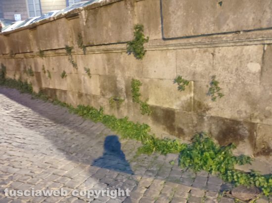Viterbo - Piazza Dante con erbacce e sporcizia