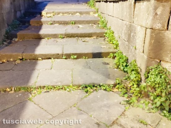 Viterbo - Piazza Dante con erbacce e sporcizia