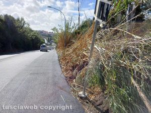 Viterbo - Canne e cartello pericolante sulla Tangenziale ovest