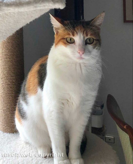 Jane