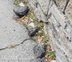 Viterbo - Buche e degrado in via Monteverdi