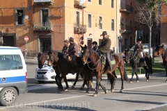 Viterbo - Sant\'Antonio abate - 150 cavalli per le vie della città
