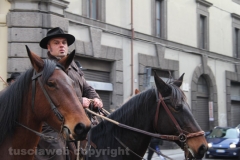 Viterbo - Sant\'Antonio abate - 150 cavalli per le vie della città
