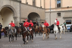 Viterbo - Sant\'Antonio abate - 150 cavalli per le vie della città