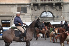 Viterbo - Sant\'Antonio abate - 150 cavalli per le vie della città