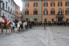 Viterbo - Sant\'Antonio abate - 150 cavalli per le vie della città
