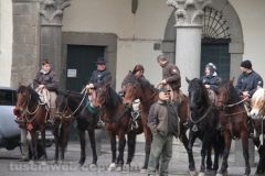 Viterbo - Sant\'Antonio abate - 150 cavalli per le vie della città