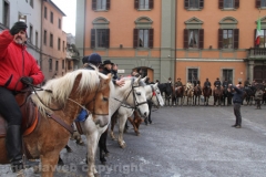 Viterbo - Sant\'Antonio abate - 150 cavalli per le vie della città