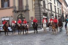 Viterbo - Sant\'Antonio abate - 150 cavalli per le vie della città