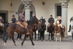 Viterbo - Sant\'Antonio abate - 150 cavalli per le vie della città
