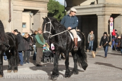 Viterbo - Sant\'Antonio abate - 150 cavalli per le vie della città