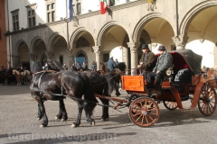 Viterbo - Sant\'Antonio abate - 150 cavalli per le vie della città