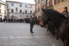 Viterbo - Sant\'Antonio abate - 150 cavalli per le vie della città