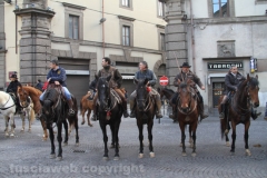 Viterbo - Sant\'Antonio abate - 150 cavalli per le vie della città