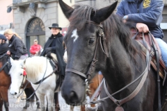 Viterbo - Sant\'Antonio abate - 150 cavalli per le vie della città