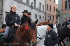 Viterbo - Sant\'Antonio abate - 150 cavalli per le vie della città