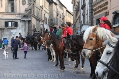 Viterbo - Sant\'Antonio abate - 150 cavalli per le vie della città