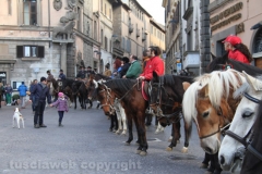 Viterbo - Sant\'Antonio abate - 150 cavalli per le vie della città