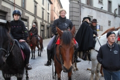 Viterbo - Sant\'Antonio abate - 150 cavalli per le vie della città