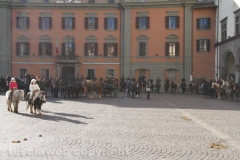 Viterbo - Sant\'Antonio abate - 150 cavalli per le vie della città