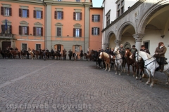 Viterbo - Sant\'Antonio abate - 150 cavalli per le vie della città