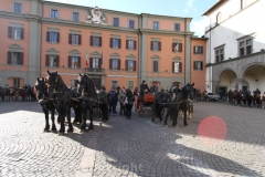 Viterbo - Sant\'Antonio abate - 150 cavalli per le vie della città