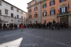 Viterbo - Sant\'Antonio abate - 150 cavalli per le vie della città