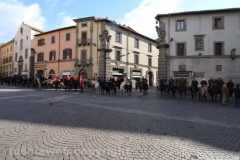Viterbo - Sant\'Antonio abate - 150 cavalli per le vie della città