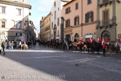 Viterbo - Sant\'Antonio abate - 150 cavalli per le vie della città